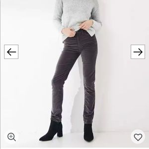 Fat Face Velour Pants